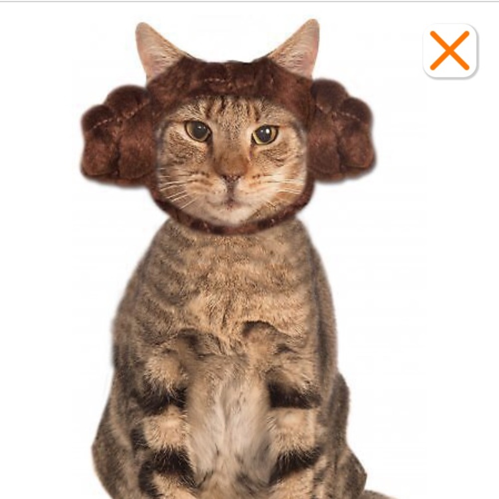 Meet your Posher, Andrea